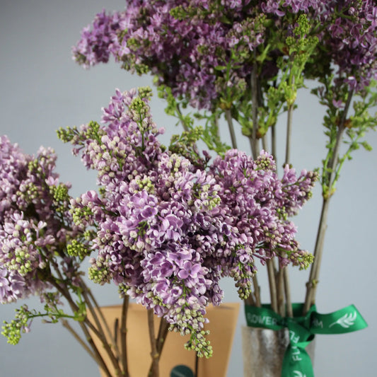 syringa delivery in Genoa Bouquet of Flowers