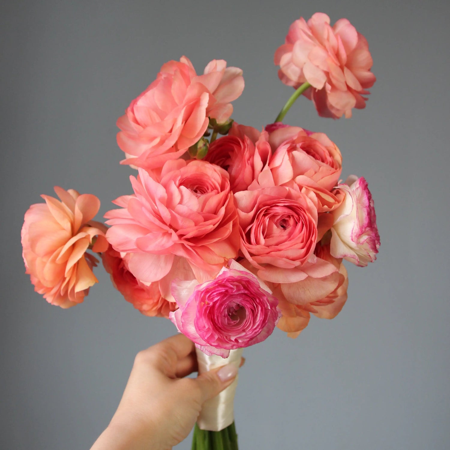 pink bridal bouquet  in italy Genoa Bridal Bouquet