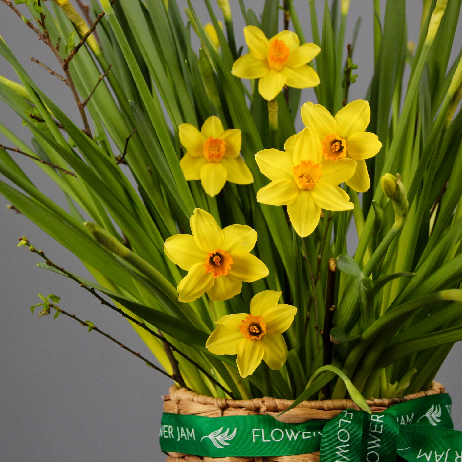 send flowers Genoa FLOWERS IN A BOX
