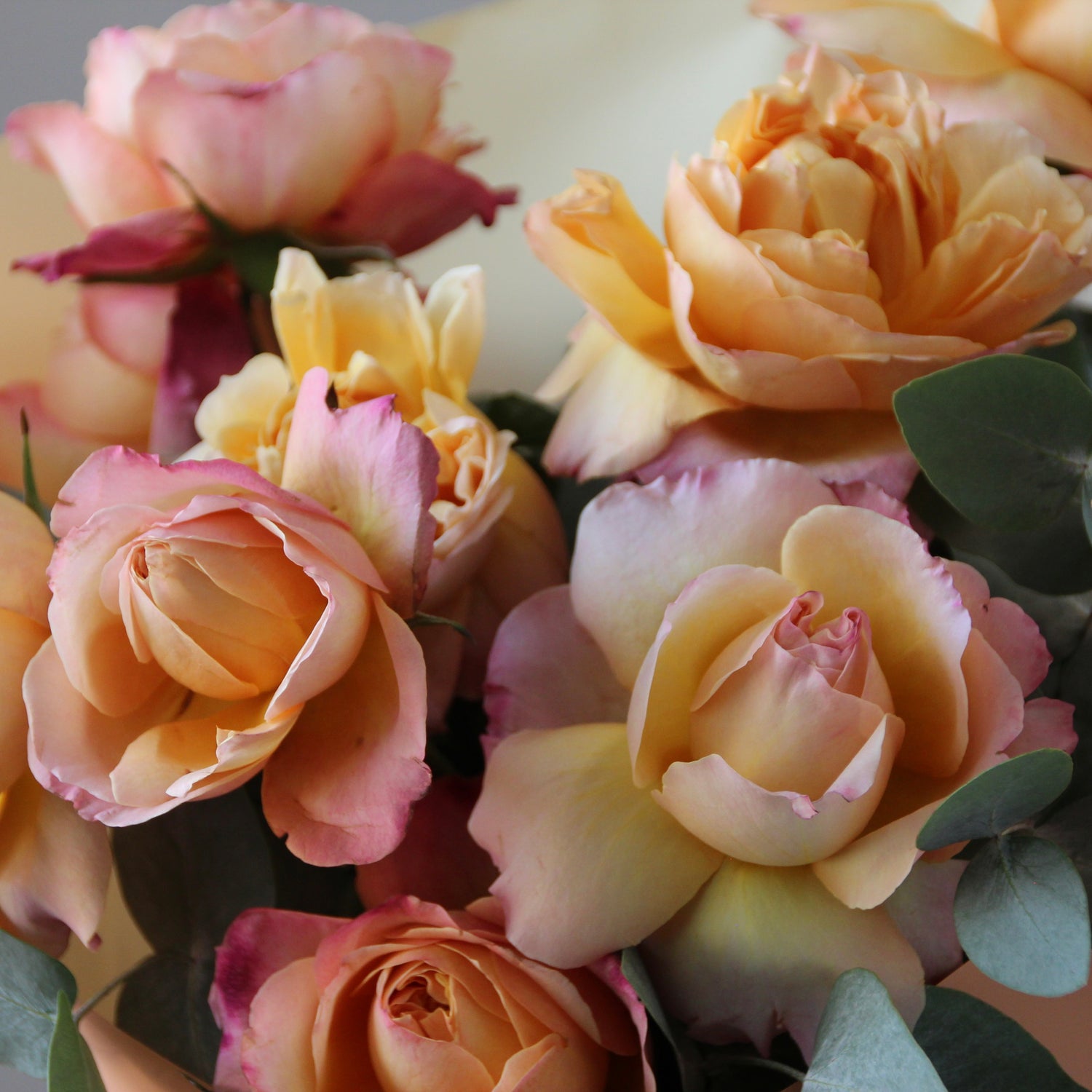 roses delivery in genoa