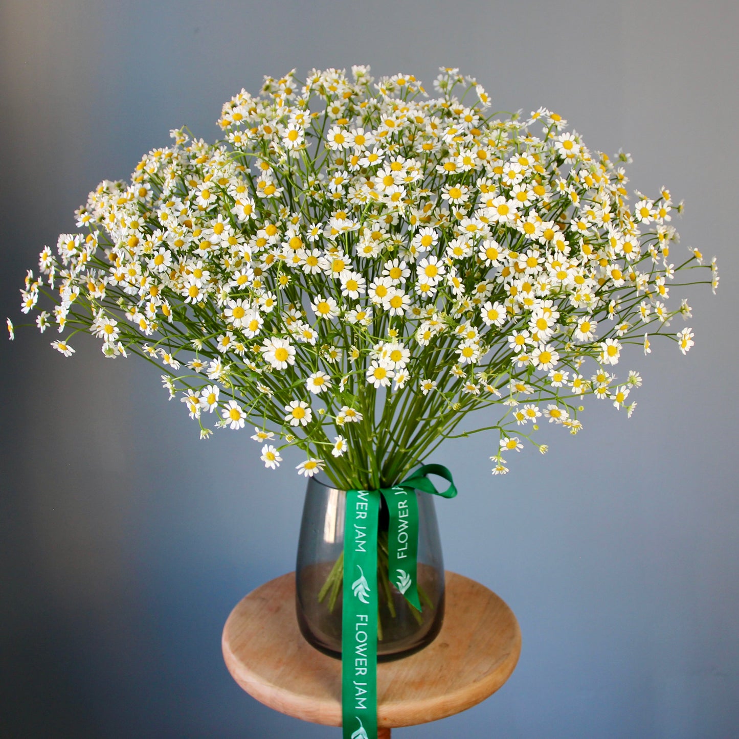interior arrangement in Genoa liguria Camomile Bouquet