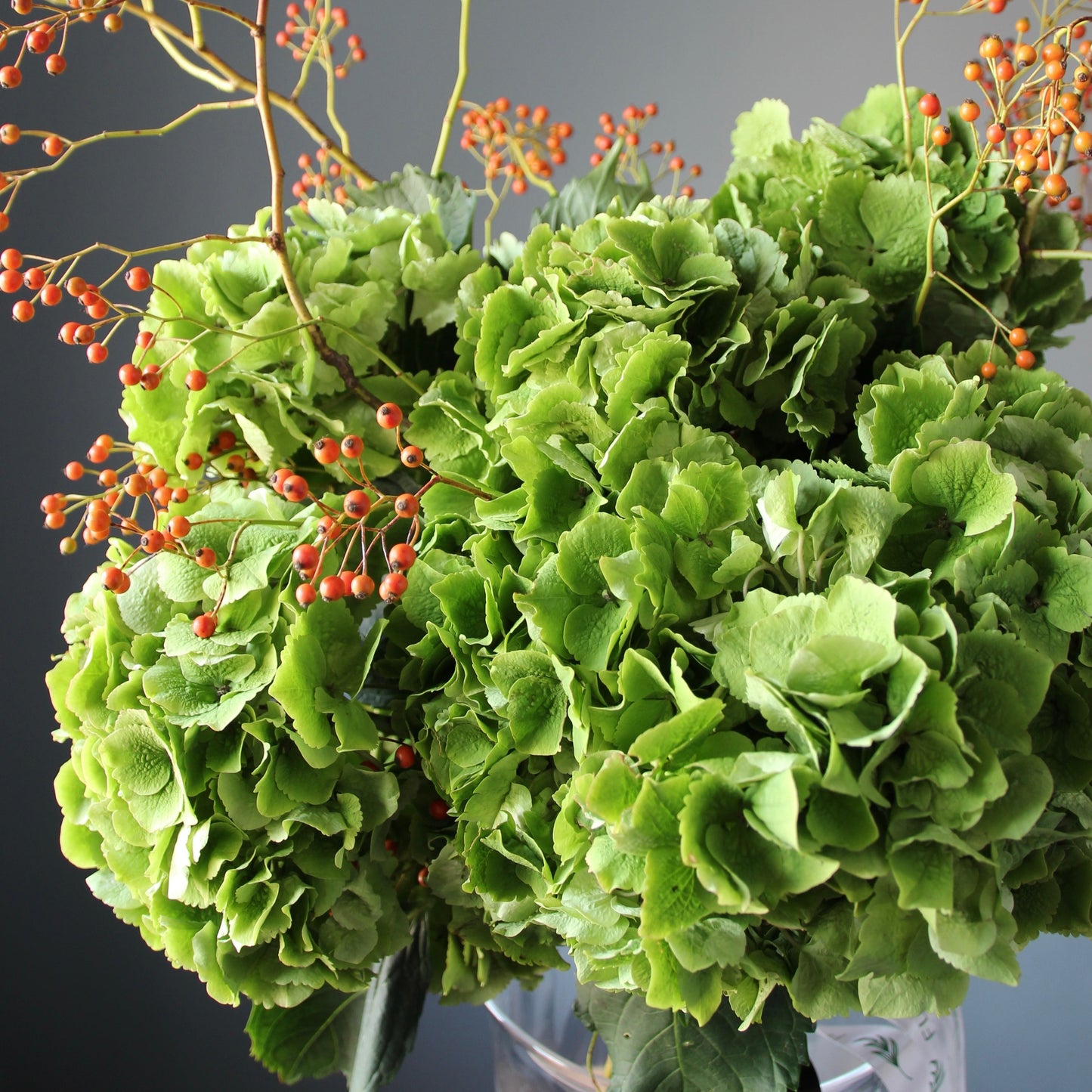 consegna fiori in Genova Bouquet of Hydrangea