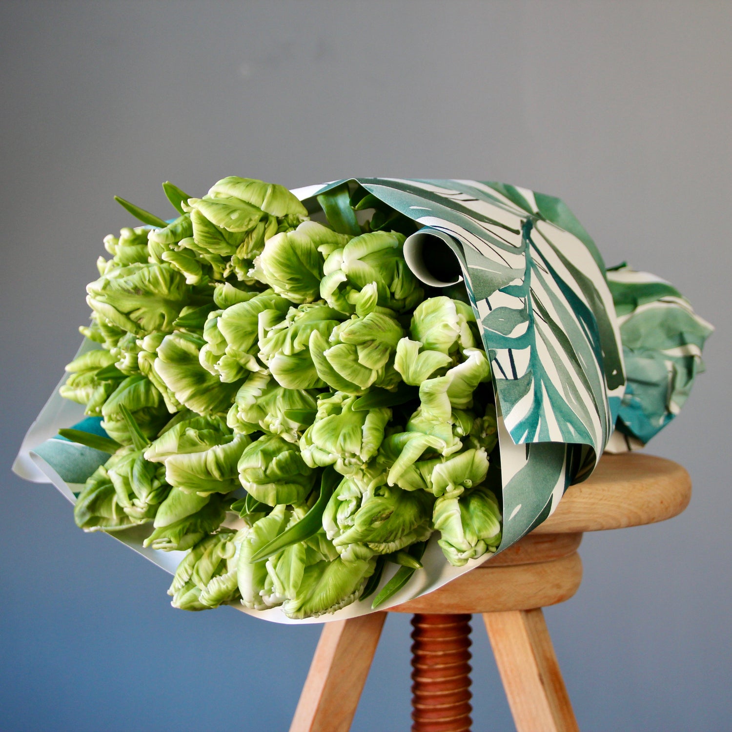 white and green tulips parrot delivery Genoa Tulips